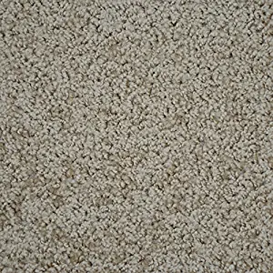 Best indoor outdoor carpet roll