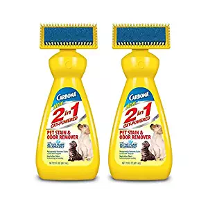 Best how to remove the smell of cat urine in carpet