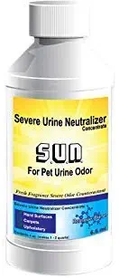 Best pet urine odor removal from carpet