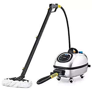 Best professional floor steam cleaner