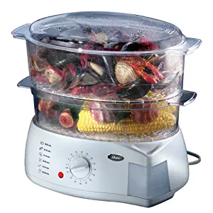 Best oster food steamer white
