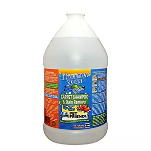 Best homemade carpet shampoo cleaner
