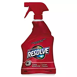 Best stain resistant carpet treatment