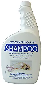 Best homemade carpet shampoo cleaner