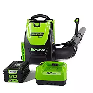 Best backpack vacuum battery powered