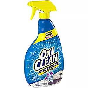 Best oxiclean spray carpet cleaner