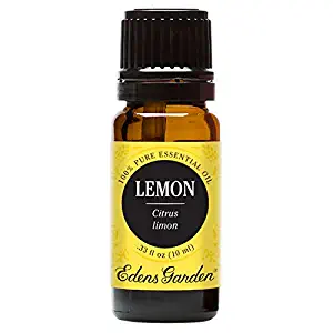 Best homemade carpet shampoo cleaner