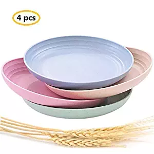 Best microwave and dishwasher safe