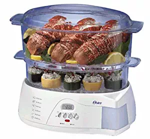 Best oster food steamer white