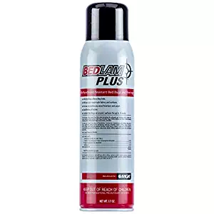 Best stain resistant carpet treatment