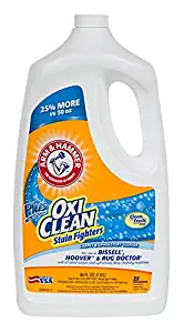 Best arm and hammer carpet cleaner safe for pets
