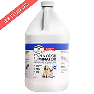 Best urine smell removal from carpet