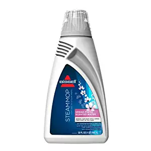 Best professional floor steam cleaner