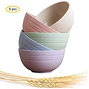 Best microwave and dishwasher safe