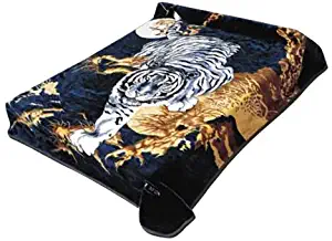 Korean Solaron Super Thick Heavy Weight Ultra Silky Soft Mink Heavy Duty Reversible Blanket bed comforters bedspreads bedding comforter King or Queen(King, 71 Tiger Blue)