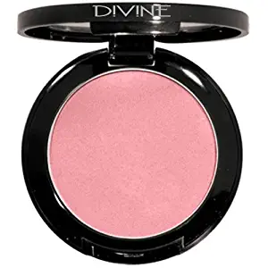 Divine Skin & Cosmetics Mineral Matte Blush 3.4G Hush Pink