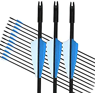GPP Archery Beginner's First Arrows (30" Fiberglass Target Archery Arrows) - 12 Pack