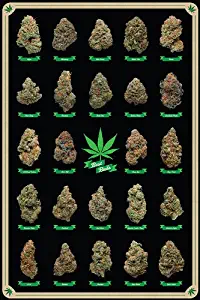 Frame USA Best Buds Marijuana Poster (24x36) Individually Rolled