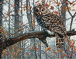 Dimensions Wise Owl Counted Cross Stitch Kit, 14 Count White Aida, 14'' x 11''