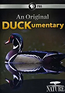 Nature: An Original Duckumentary