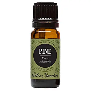 Edens Garden Pine Essential Oil, 100% Pure Therapeutic Grade (Highest Quality Aromatherapy Oils- Inflammation & Pain), 10 ml