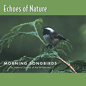Echoes of Nature: Morning Songbirds