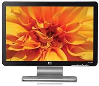 HP W1907 19-inch Widescreen Flat Panel LCD Monitor