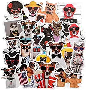 Funny Dog and Cat Stickers, Pet with Sunglasses Sticker Decal for Laptop, Water Bottles, Cars, Teens, Women, Kids, Girls, 38pcs Vinyl Waterproof Sticker Pack, No Repeat(Dog and Cat Stickers)
