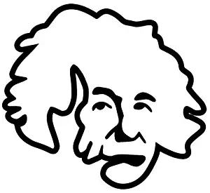 Albert Einstein Face - Sticker Graphic - Auto, Wall, Laptop, Cell, Truck Sticker for Windows, Cars, Trucks