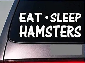 Eat Sleep Hamsters Sticker,Vinyl Car Window Decals for Laptop,Quote Funny Decal Computer Water Bottle Door Stickers Wall Art