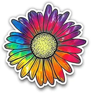 Vinyl Junkie Graphics Daisy Flower Sticker for Car Truck Windows Laptop Any Smooth Surface Waterproof (Raindow Tie Dye)